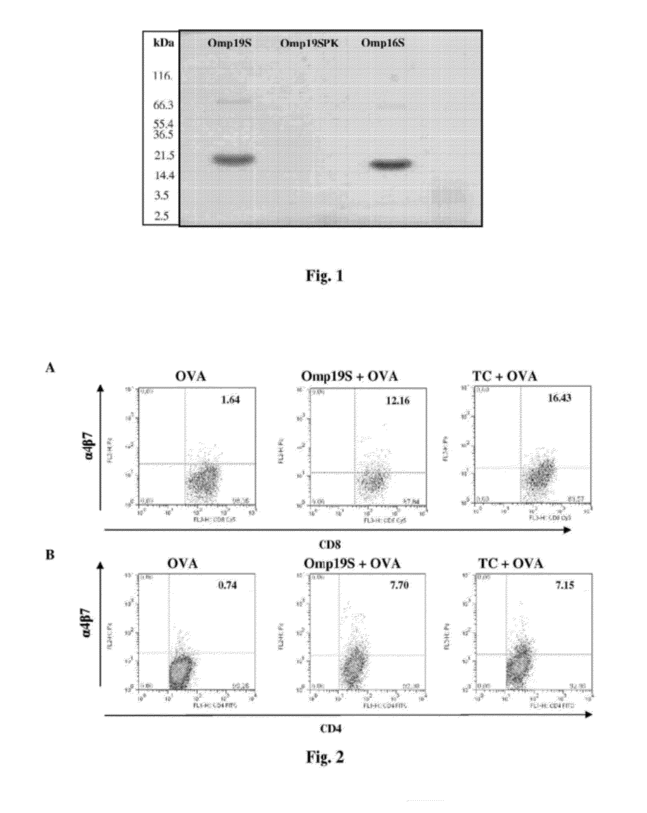 Adjuvant for vaccines, vaccines that comprise said adjuvant and uses thereof