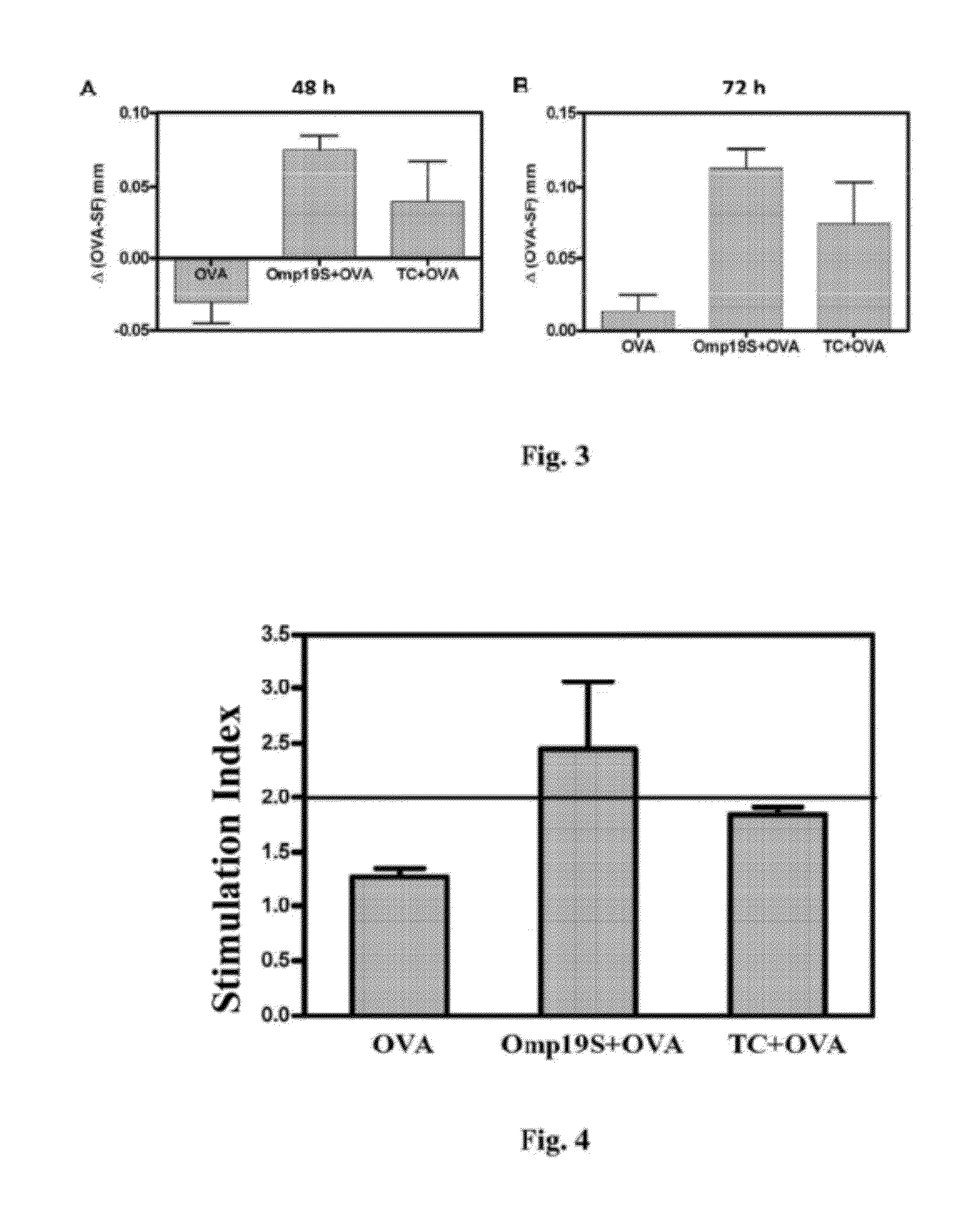 Adjuvant for vaccines, vaccines that comprise said adjuvant and uses thereof