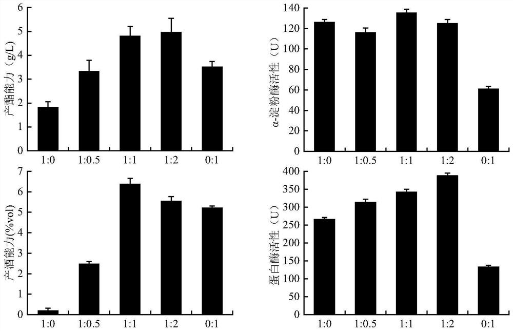 Method for increasing content of ethyl caproate in Luzhou-flavor liquor