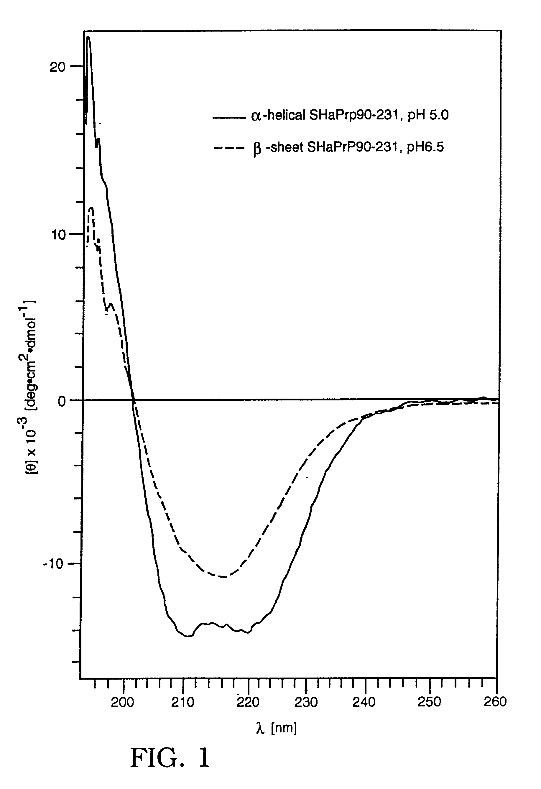 Assay for disease related conformation of a protein