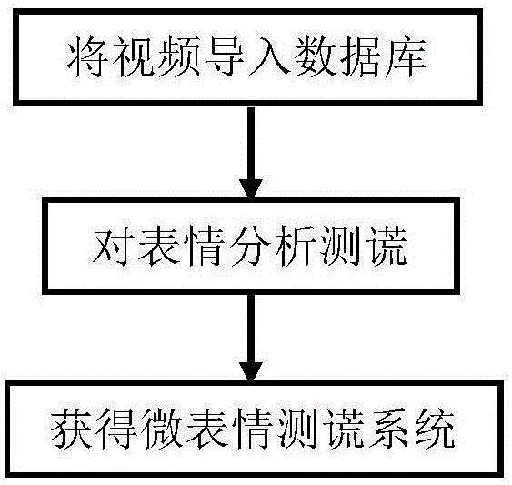 Reinforcement patch and multi-tag learning combination-based expression lie test method