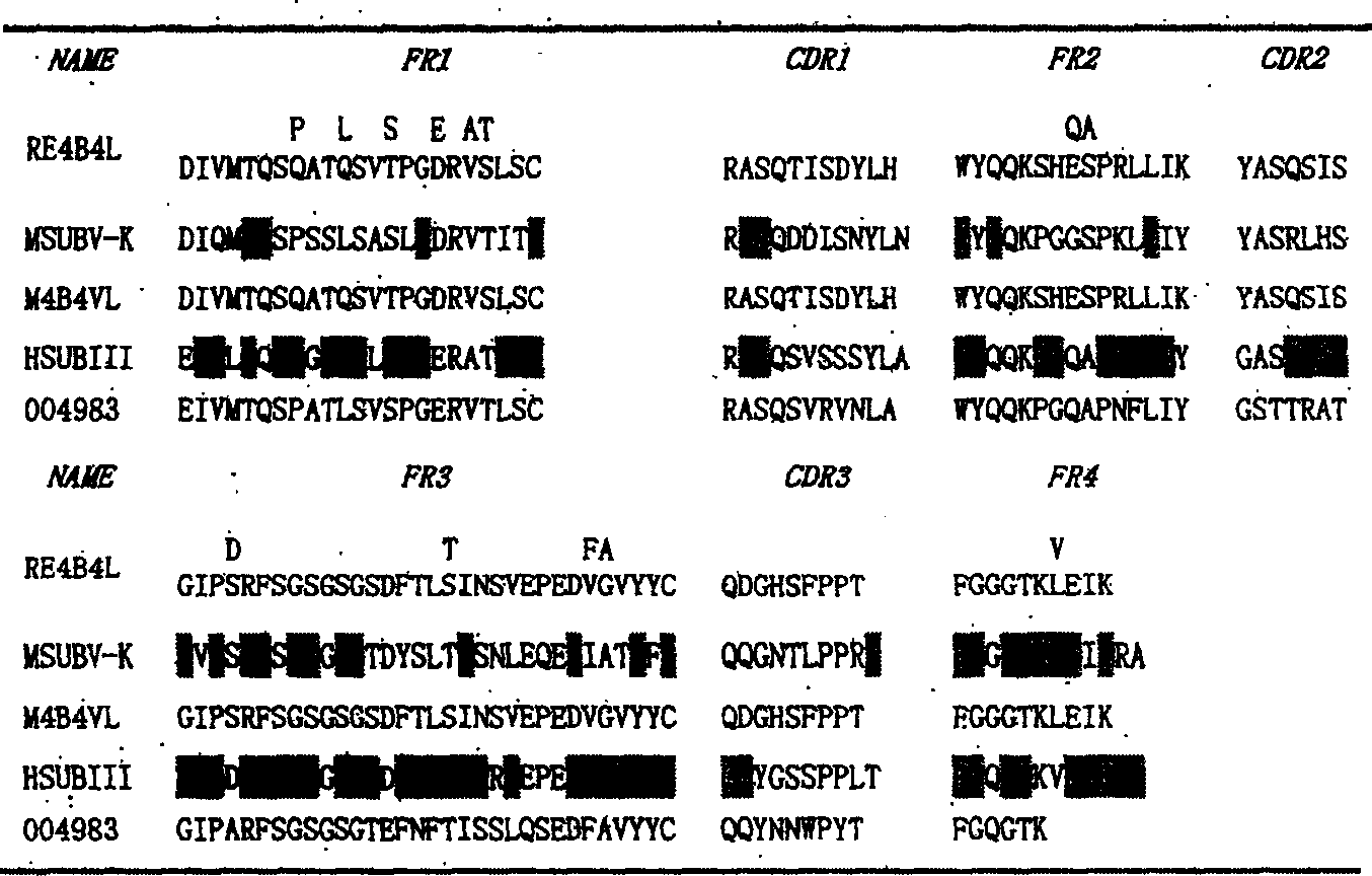 In vitro molecular directed evolution method for reshaping antibody