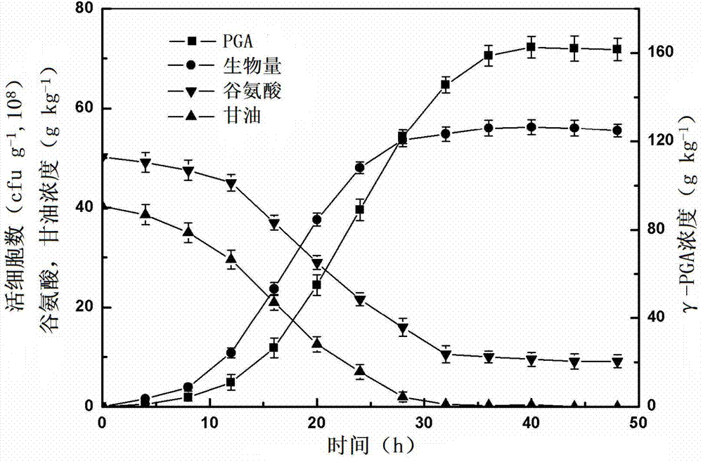 Solid state fermentation belt reactor and application thereof