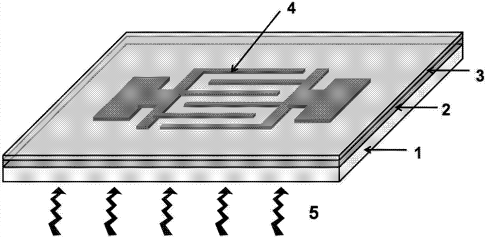 Precious-metal doped TiO2/TiO2 homogeneous-structure ultraviolet detector and preparation method