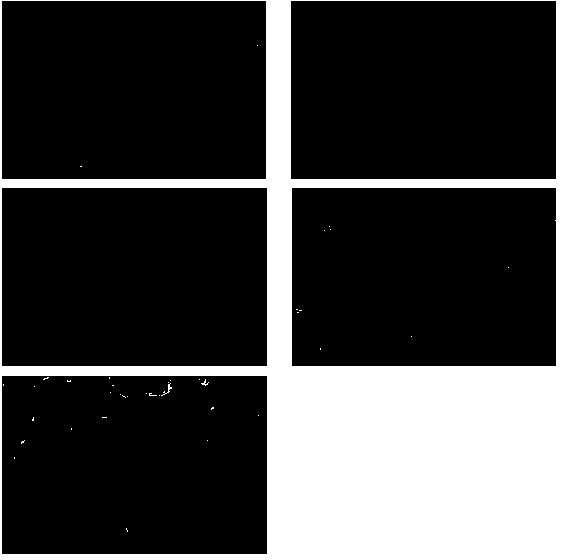 Carbon nanotube-doped composite electrode material and preparation method thereof