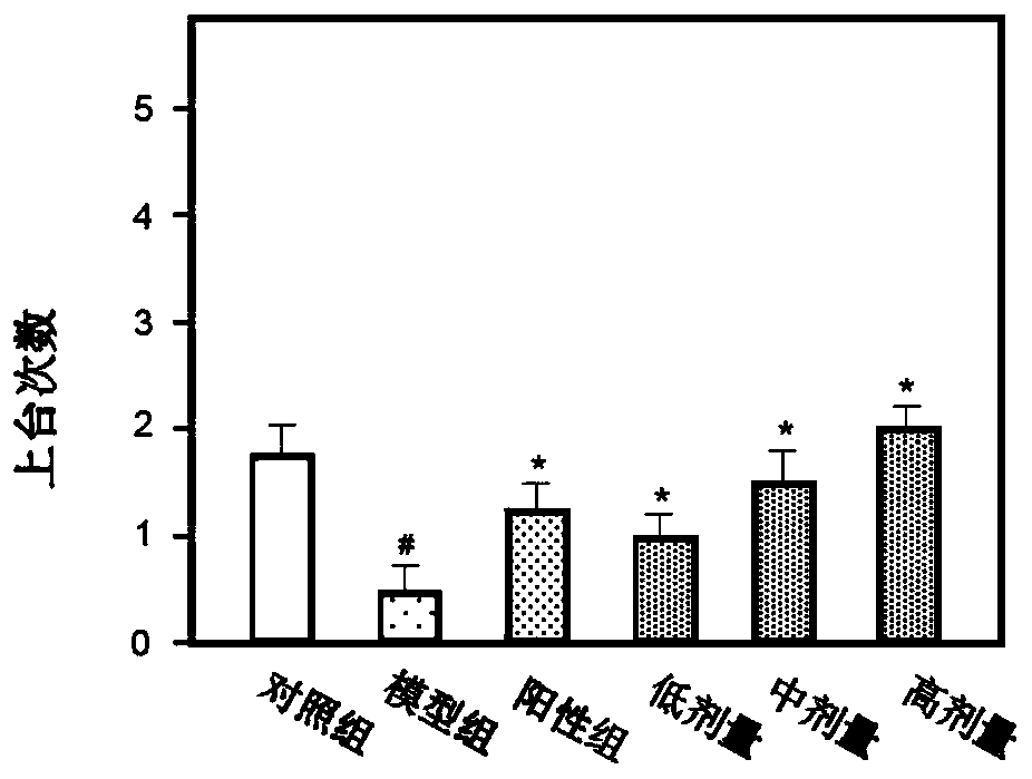 Traditional Chinese medicine composition capable of enhancing memory and improving depression, its preparation method and application