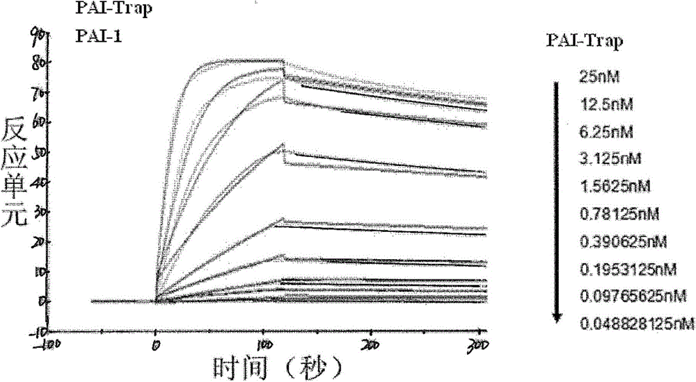 Recombinant PAI-1 inhibitor, composition containing recombinant PAI-1 inhibitor, and uses of recombinant PAI-1 inhibitor and composition in treatment and detection