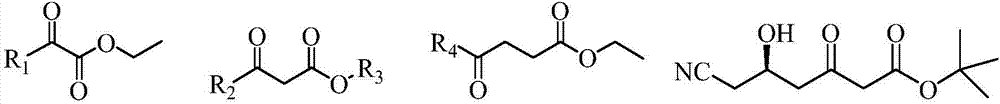 Carbonyl reductase, mutant and application of carbonyl reductase to preparation of statin synthetic intermediate