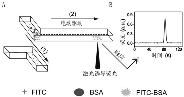 Micro-nanofluidic chip and method for achieving rapid fluorescent labeling of proteins