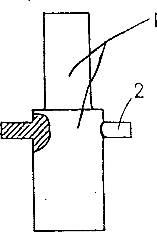 Processing method of lighter electronic striking head and its special mould