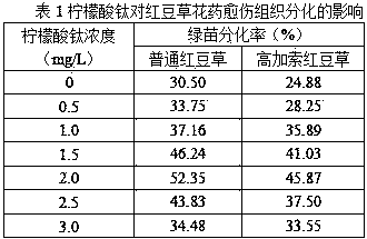 Sainfoin anther callus differentiation culture medium