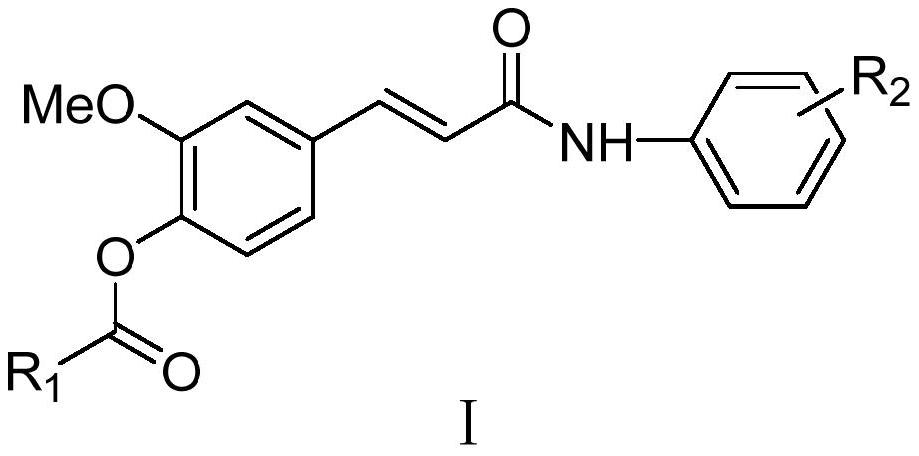 Ferulic acid derivative as well as preparation method and application thereof