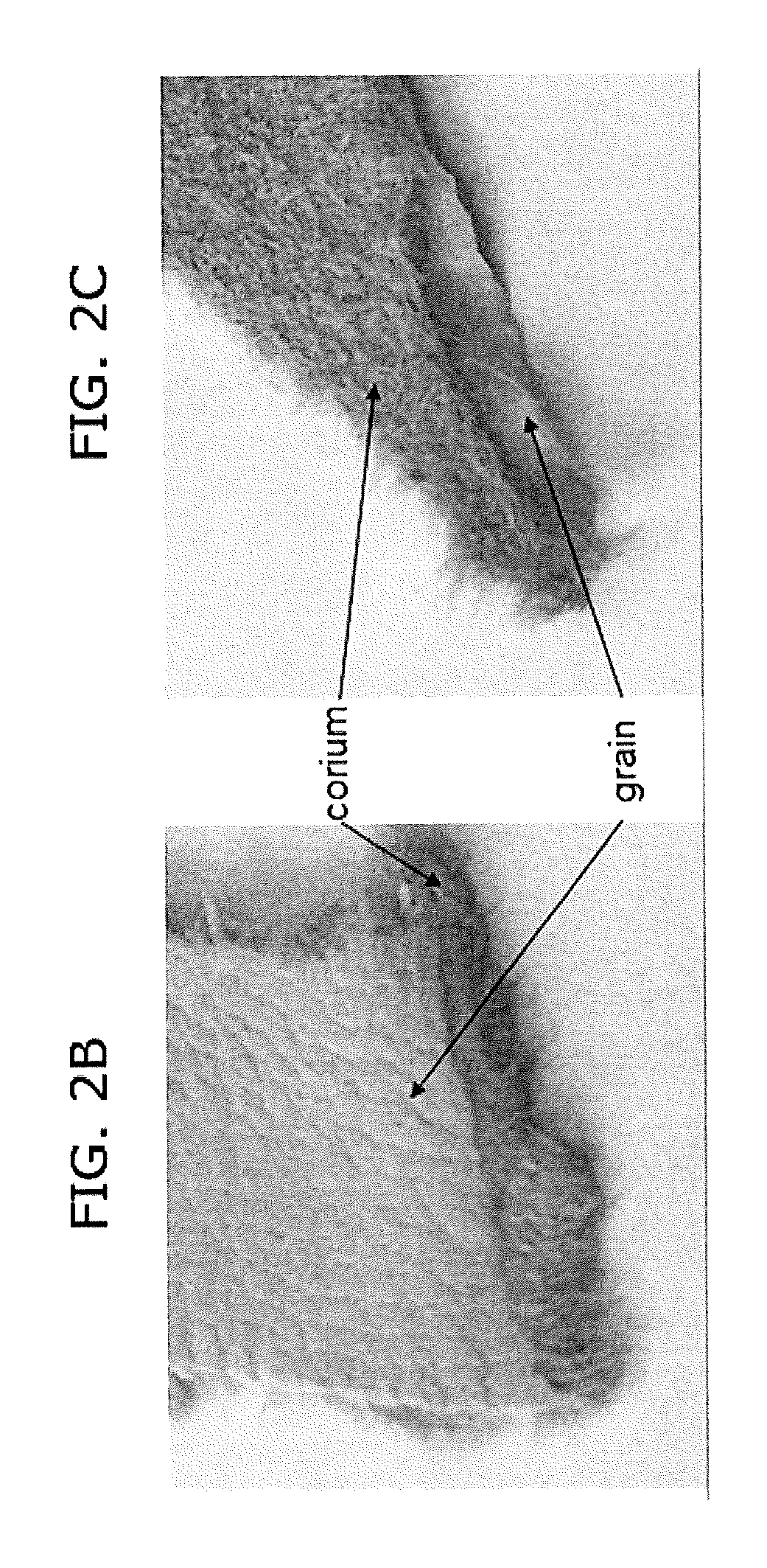 Composite biofabricated material