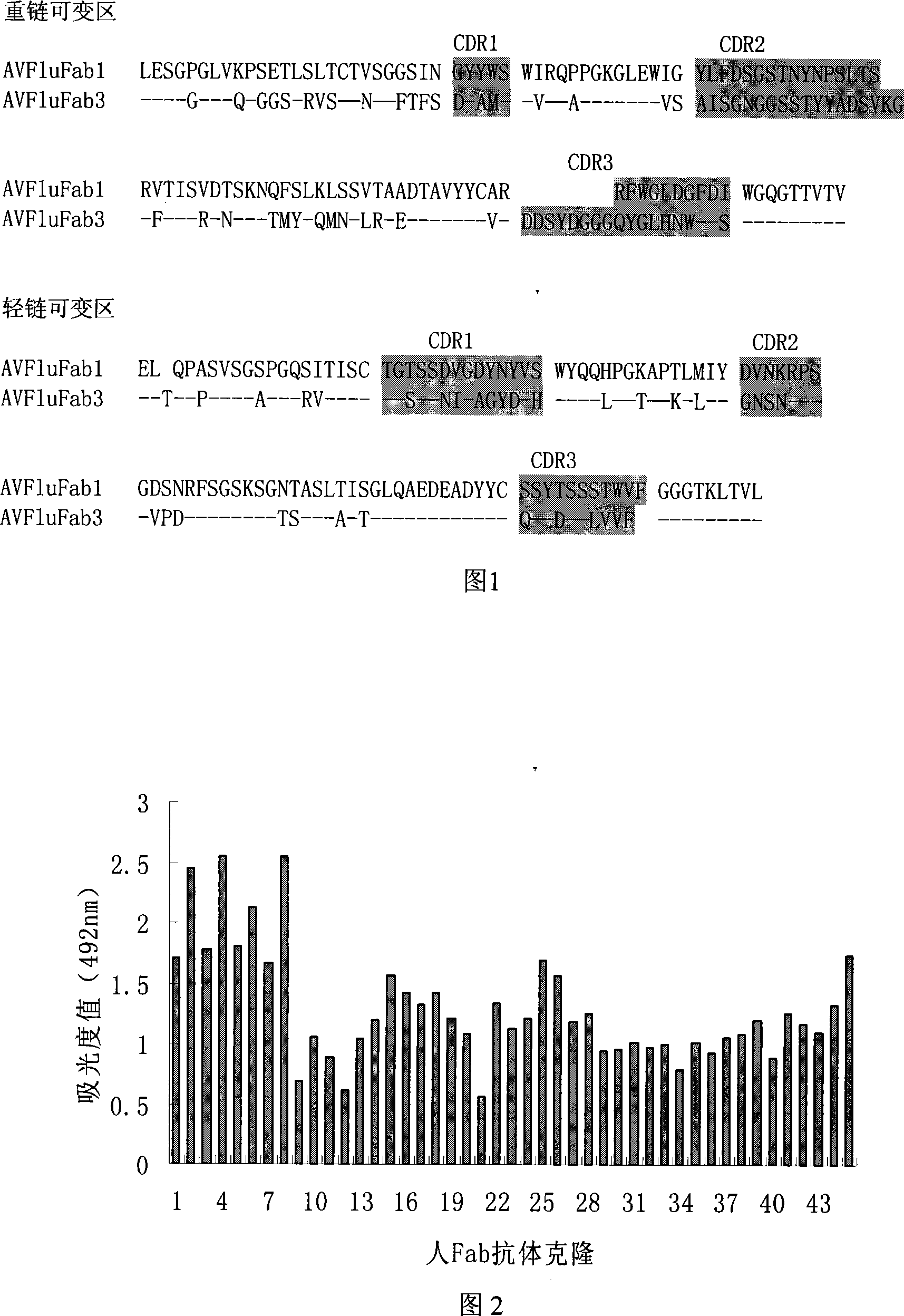 Gene engineering antibody of human source neutrality for anti virus H5N1 of bird flu