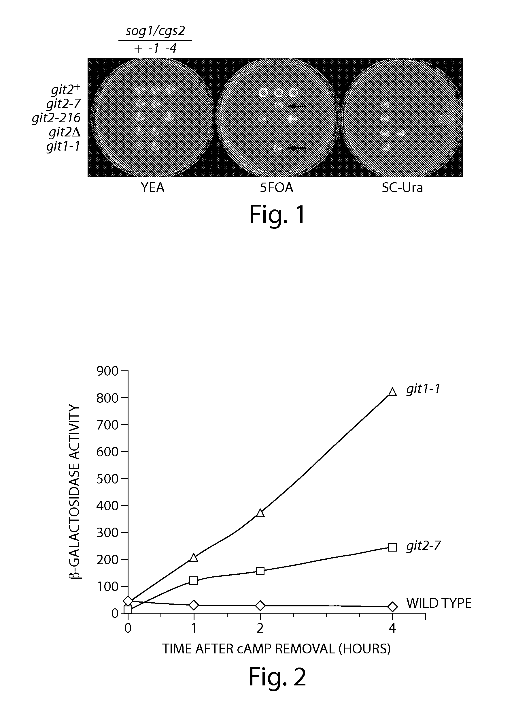 Inhibitors of cyclic amp phosphodiesterases