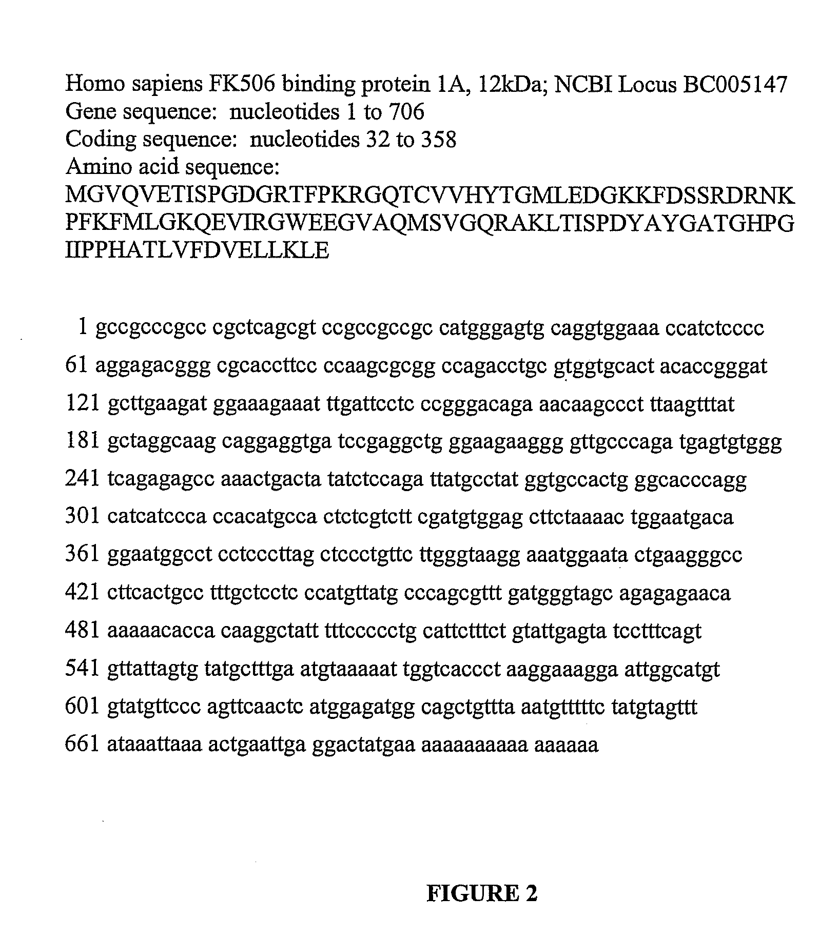 N-sulfonylpipecolic acid derivative FKBP binding composition and pharmaceutical use thereof