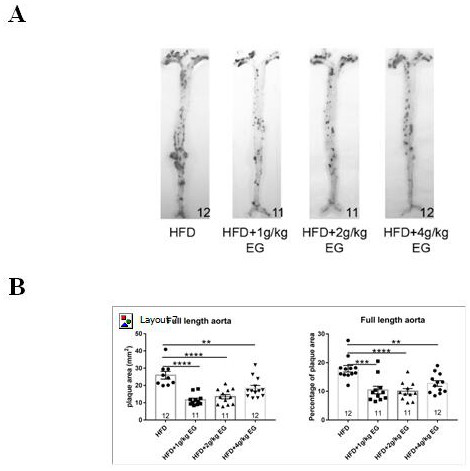 Application of Tibetan medicine namely epipremnum aureum flower in preparation of medicine for treating atherosclerosis