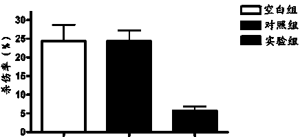 miR-21 compound of target microglial cell and preparation method and application of miR-21 compound