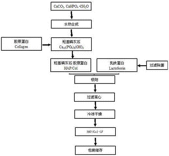 Preparation method of novel biomaterial based on lactoferrin activity