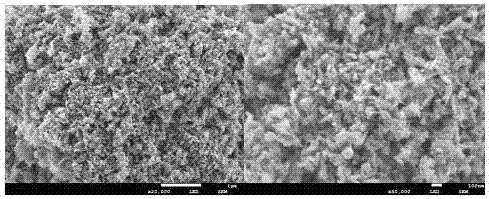 Preparation method of novel biomaterial based on lactoferrin activity