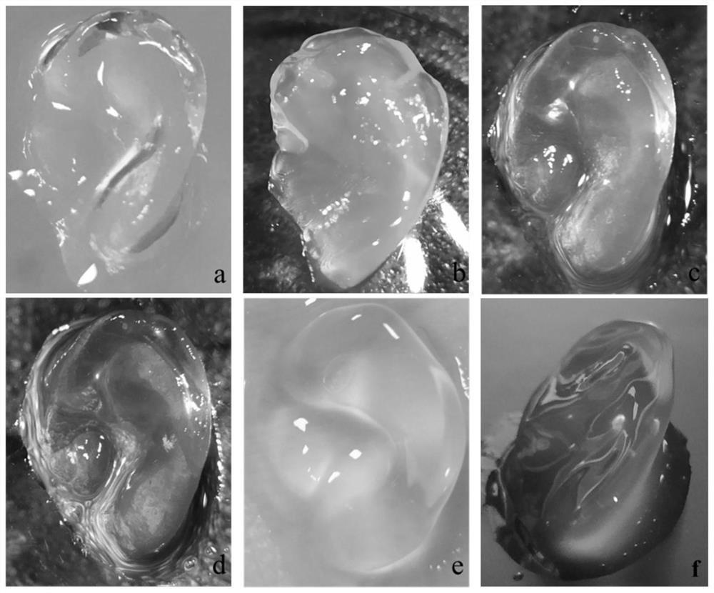 Collagen bio-ink for 3D printing and 3D printing method