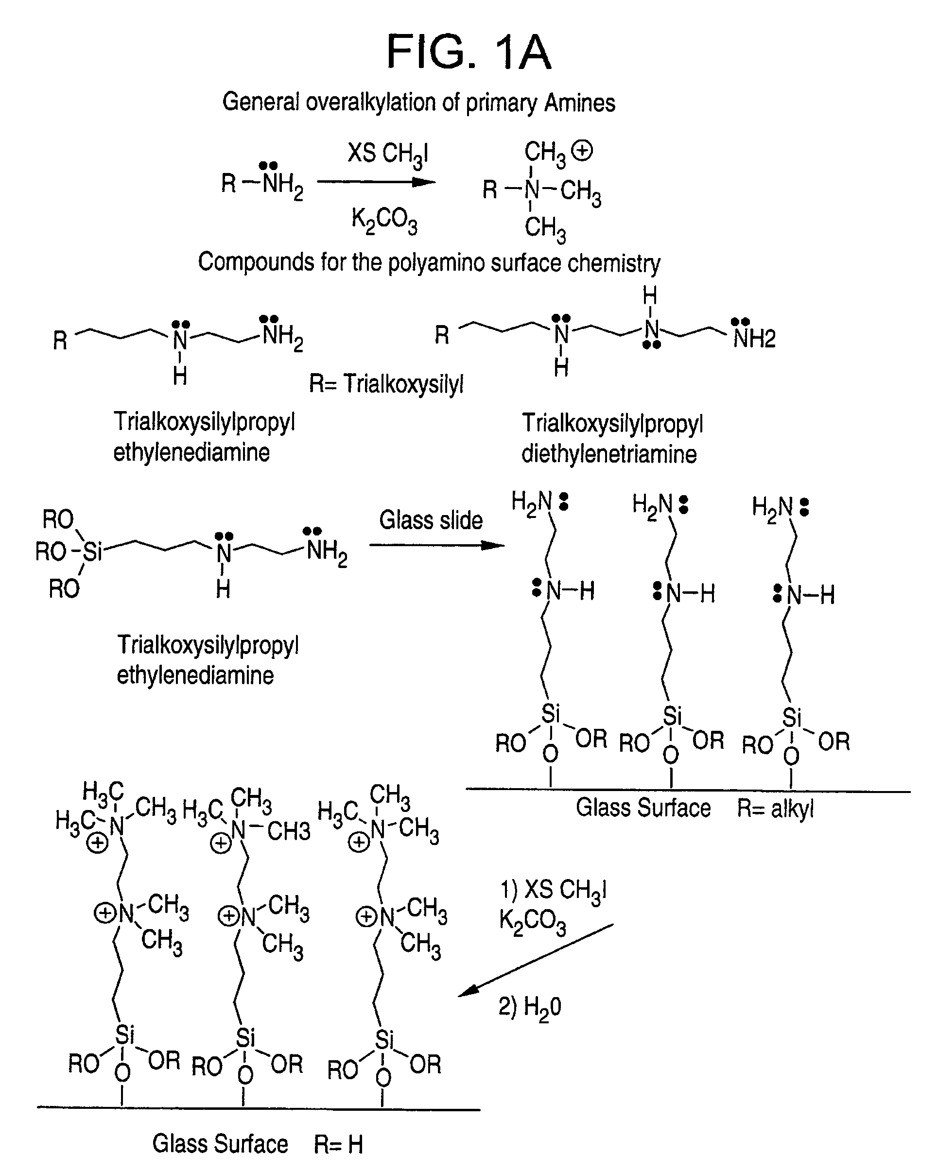 Biomolecule retaining material and methods for attaching biomolecules to a surface