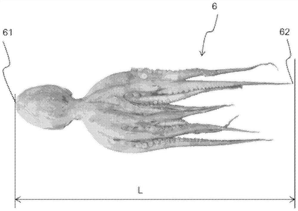 Cephalopod breeding basket, cephalopod escape preventing sheet, and use thereof