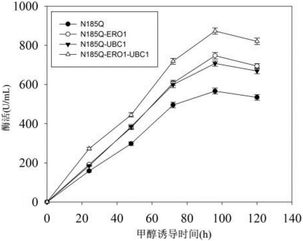 Recombinant strain producing alkaline polygalacturonate lyase and application thereof