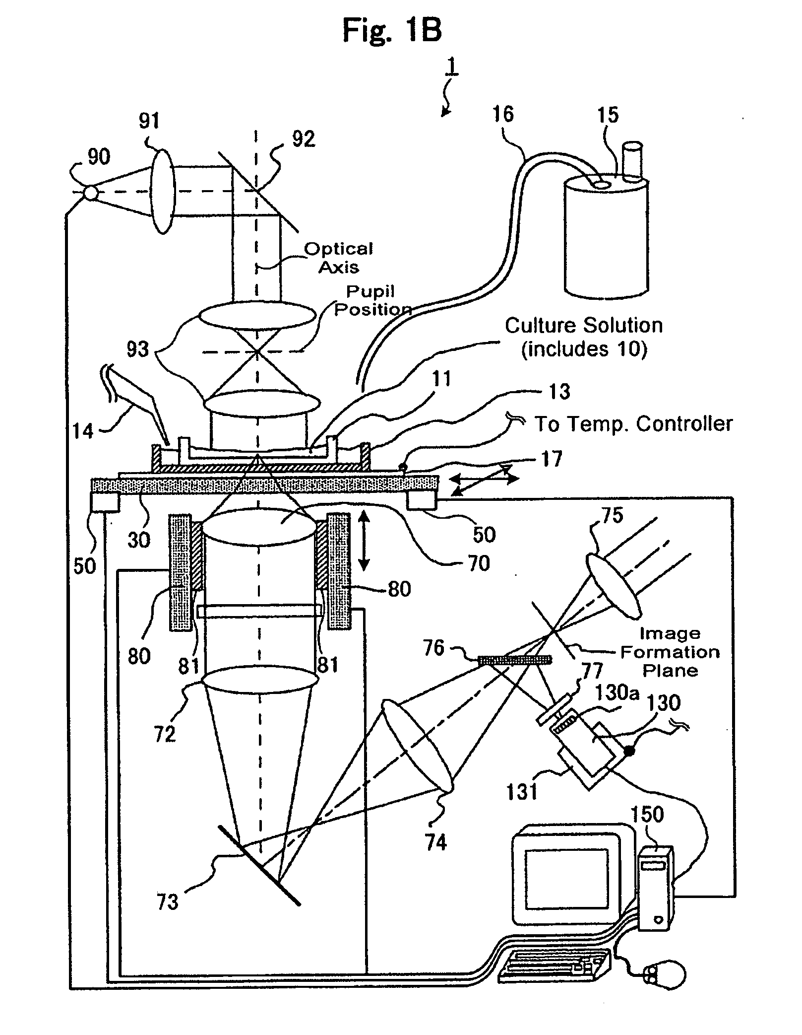 Luminescense measuring apparatus and luminescense measuring method