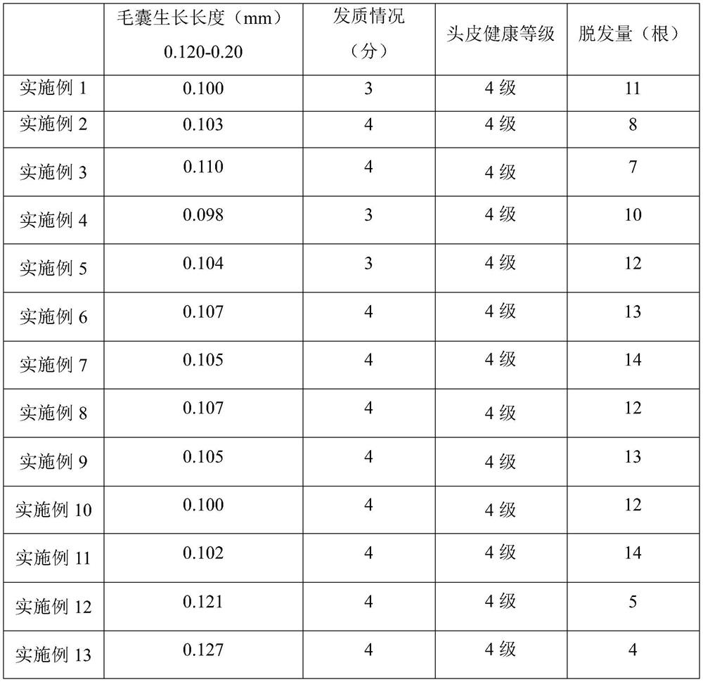 Traditional Chinese medicine composition for nourishing scalp and moistening hair and preparation method thereof