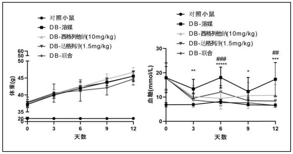 Combination medicine and its pharmaceutical composition for treating diabetes and its complications