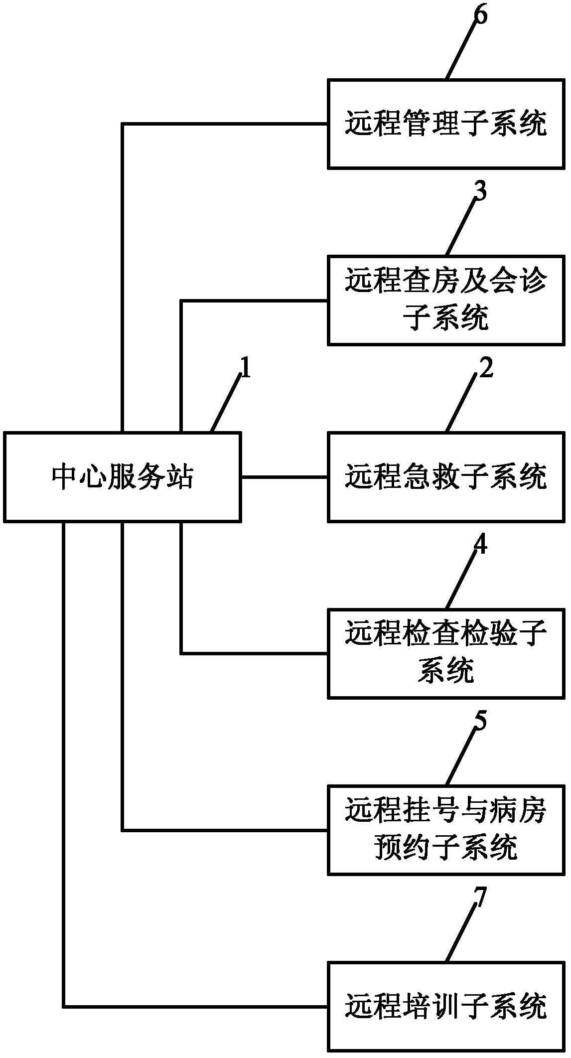 Telemedicine service system