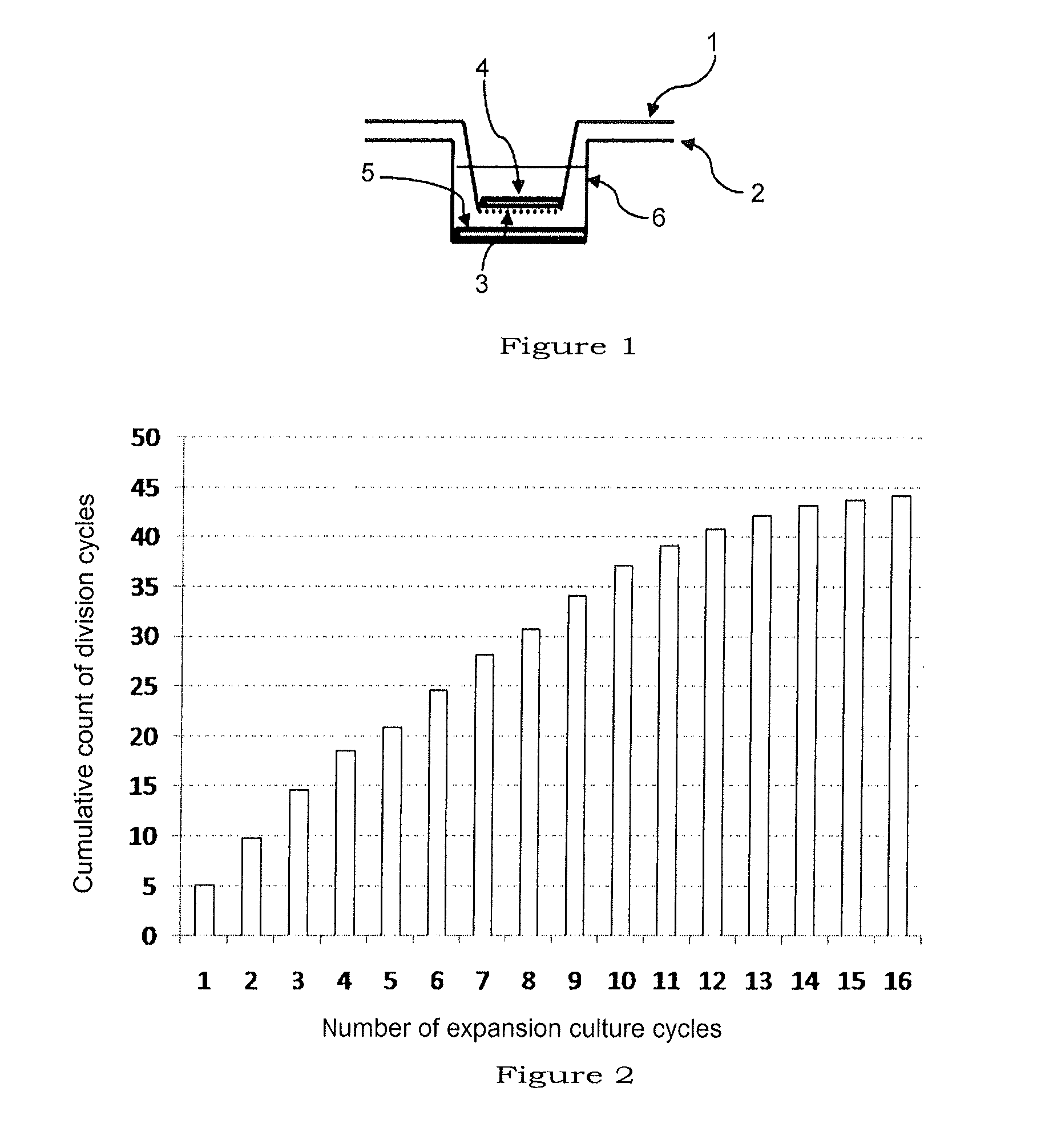 Method for producing pluripotent stem cells derived from dental pulp