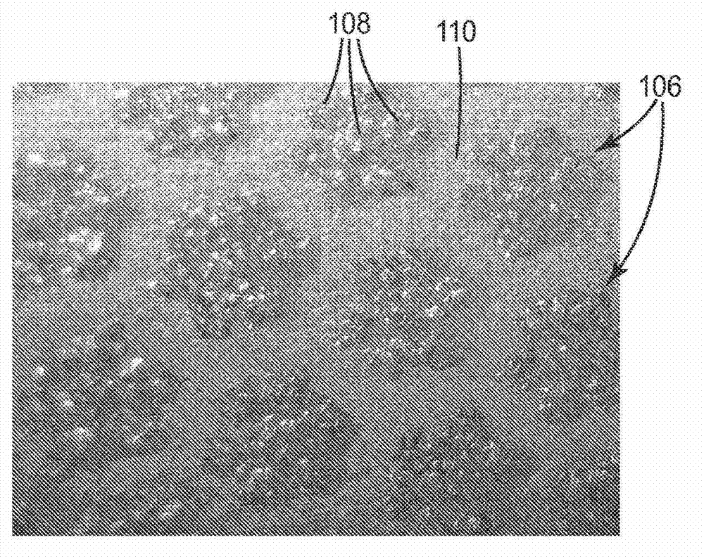 Coated abrasive articles