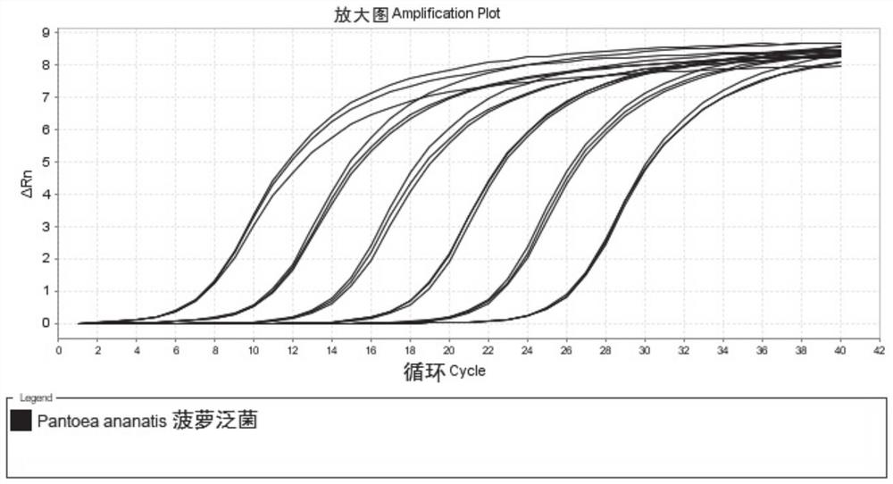 Fluorescent quantitative PCR (polymerase chain reaction) detection method and kit for plant pathogenic bacterium pantoea ananatis