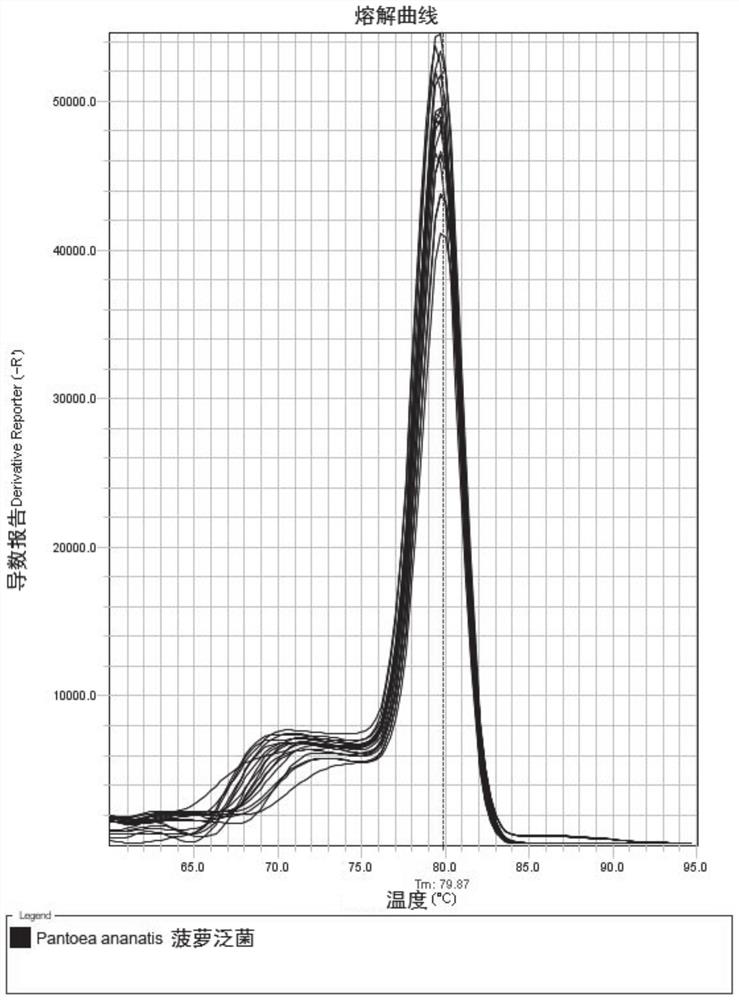 Fluorescent quantitative PCR (polymerase chain reaction) detection method and kit for plant pathogenic bacterium pantoea ananatis