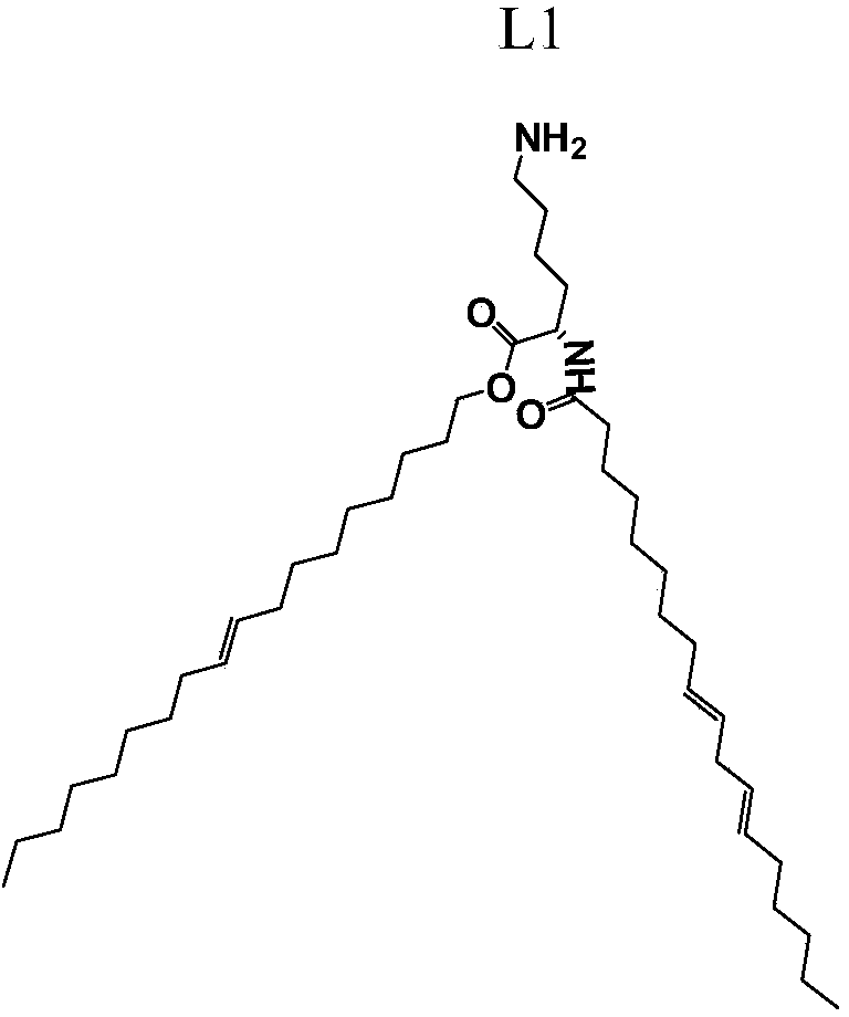 Ionizable cation lipid compound and application thereof