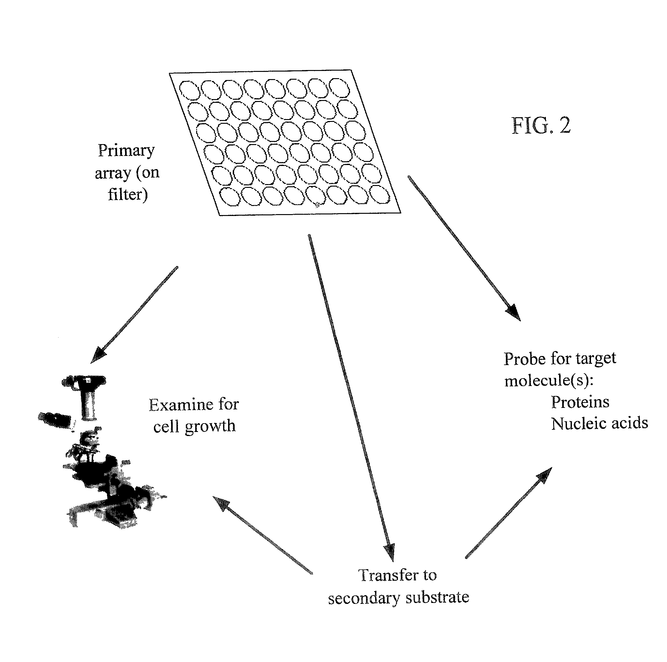 High-throughput microbial culturing