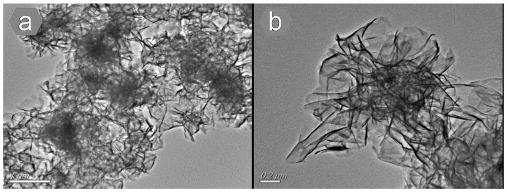 Preparation method and application of graphene oxide composite zinc-cobalt-nickel multi-metal hydroxide ternary composite material