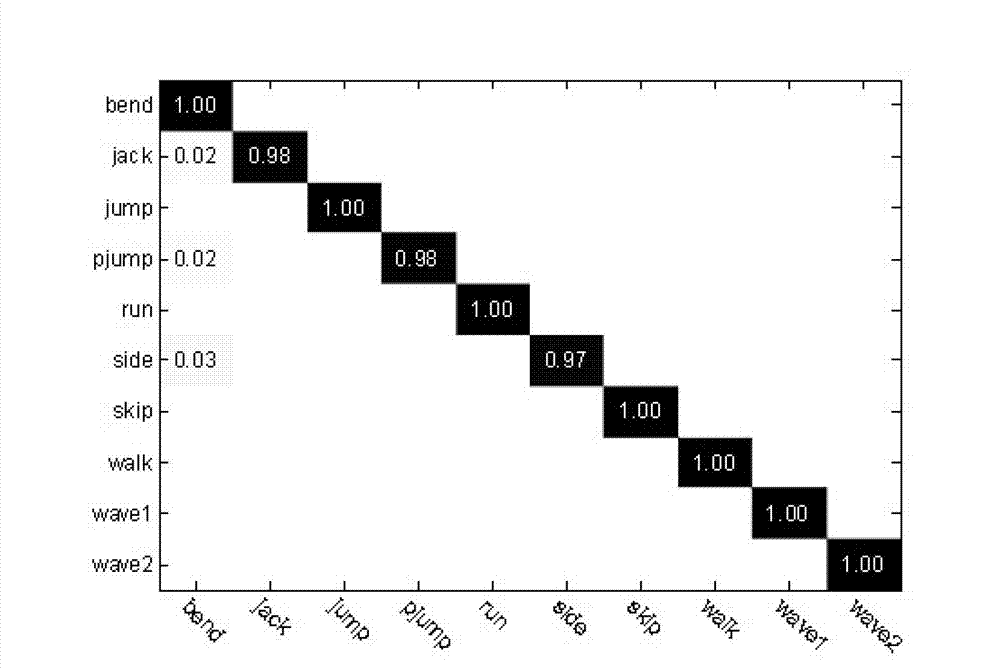 Human motion identification method based on second generation Bandelet statistical characteristics