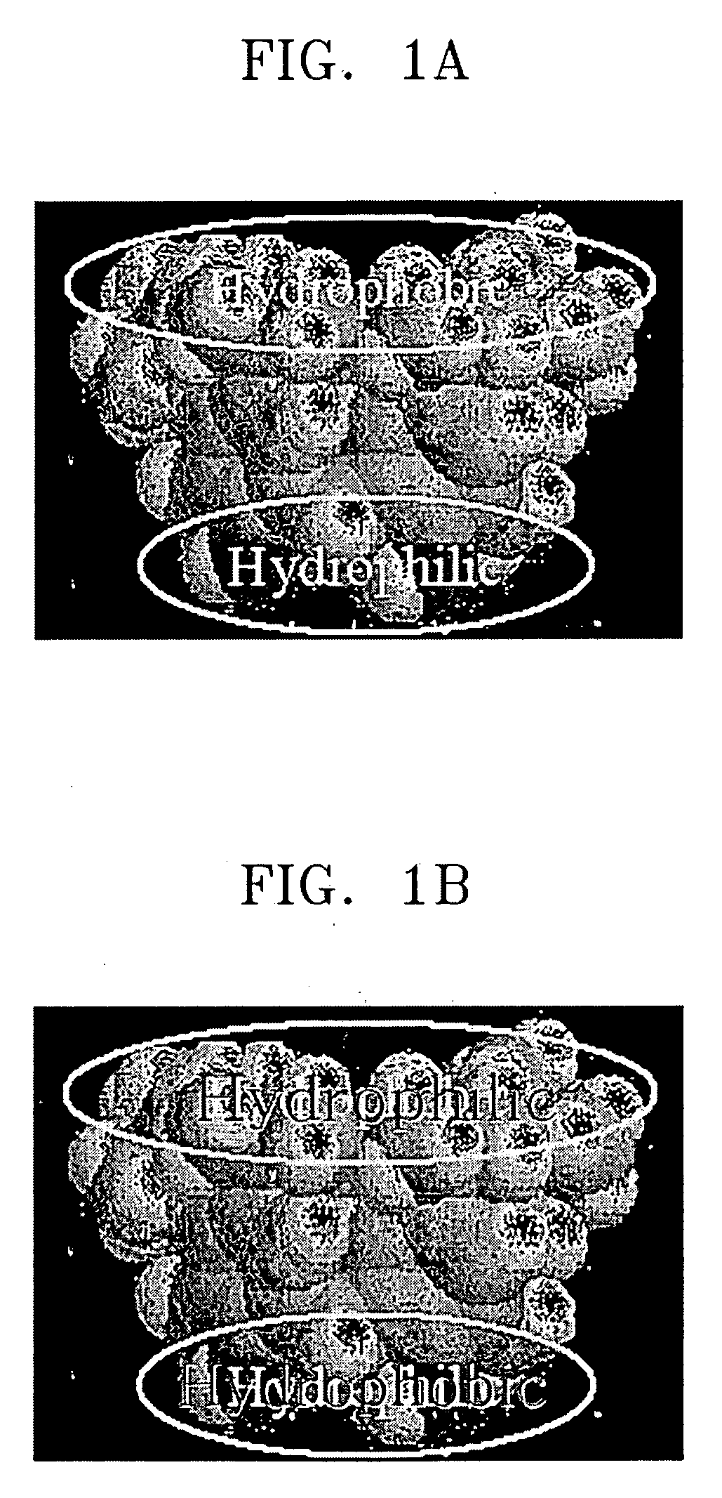 Solid acid, polymer electrolyte membrane including the same, and fuel cell using the polymer electrolyte membrane