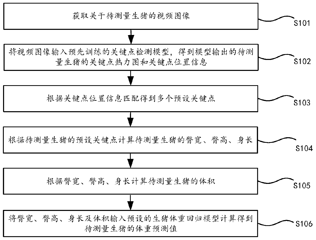 Method and device for measuring weight of live pig