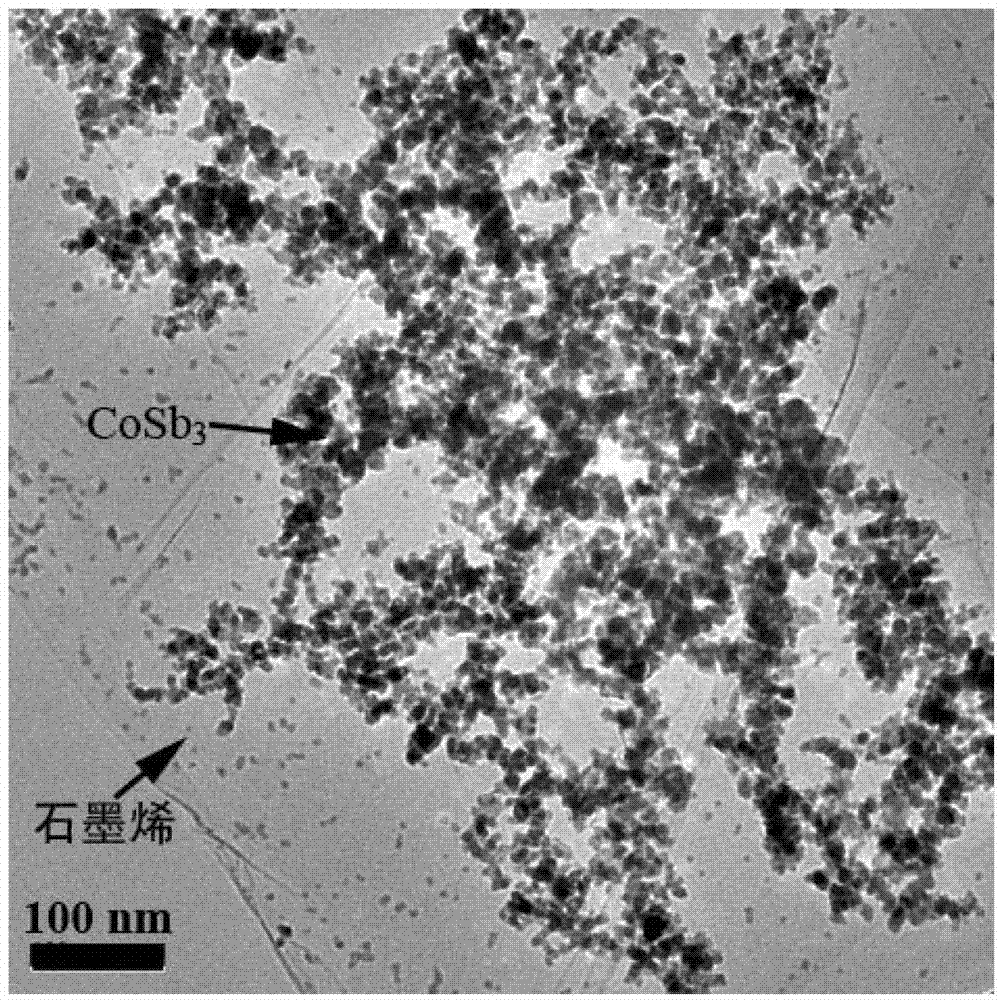 CoSb3/graphene composite material, and preparation method and application thereof