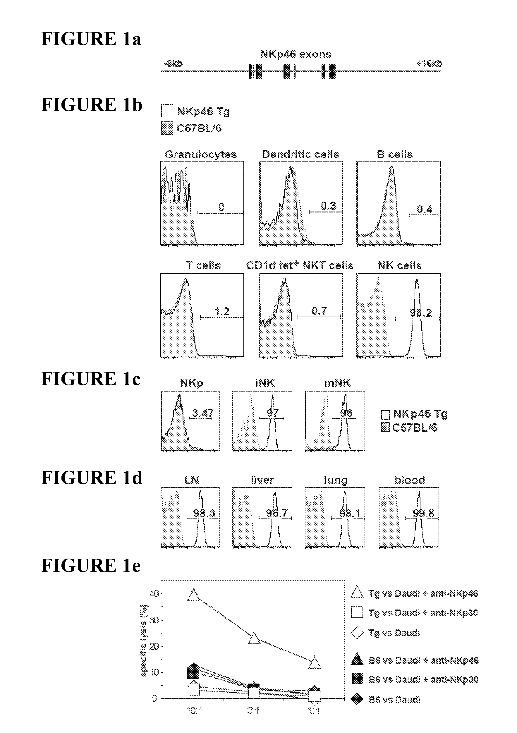 Compositions and Methods for Treating Proliferative Disorders