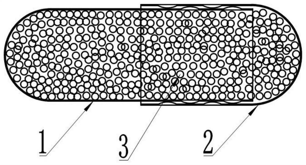 A kind of well logging isotope capsule and its use dispenser