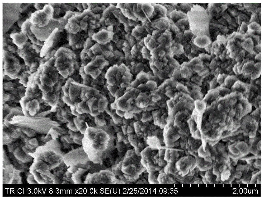 Beta zeolite molecular sieve and amine-free synthetic method thereof