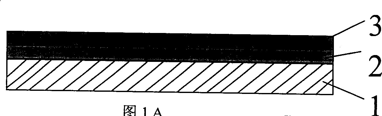 Protein chip and its preparing method and use