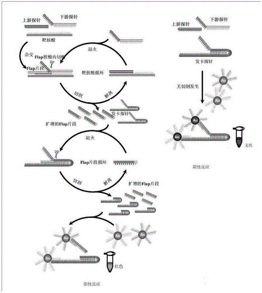 Encephalitis-related virus detection kit and application thereof