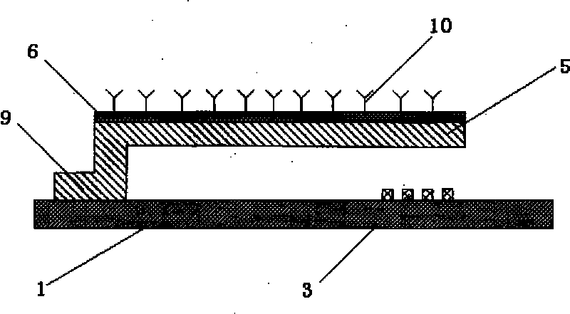 Integrated grating micro-cantilever biochemical sensor and chip manufacturing method