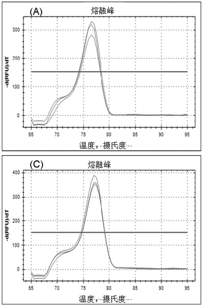 Method for detecting non-coding RNA transcription level based on hybridization connection method